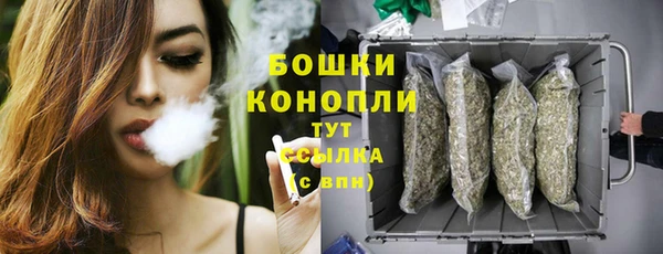 гидра Липки